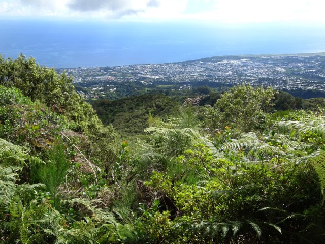 Panorama depuis le morne en direction de Saint-Denis et Gillot