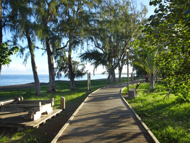 Ici, les filaos ont remplacé les cocotiers