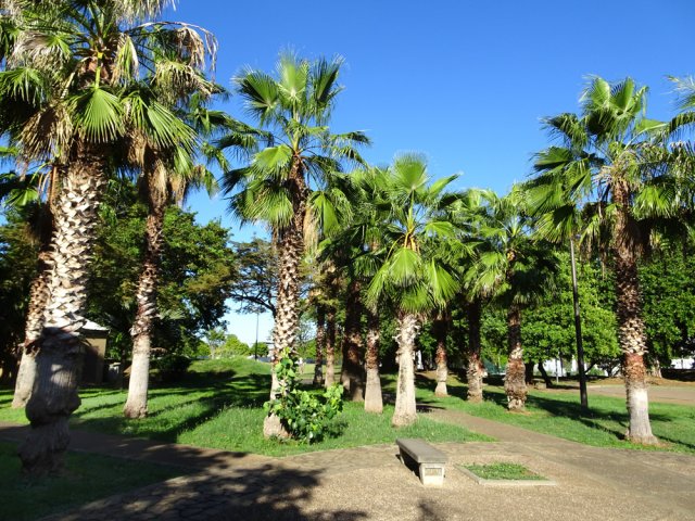 Superbe square arboré dédié au repos et à la religion