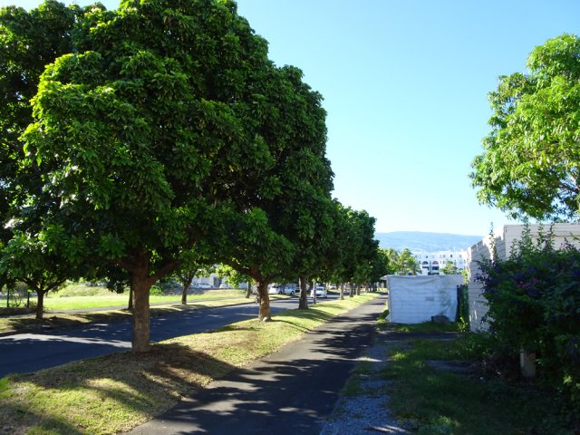 Longer la Rue Eliard Laude vers les immeubles en demi-cercle