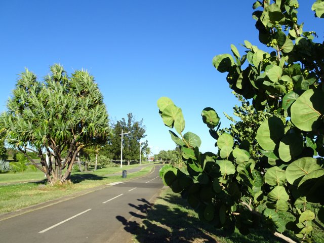 La piste sableuse qui est parallèle est peu accessible aux fauteuils