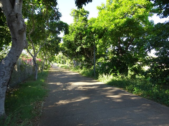 Balade agréable jusqu'à l'avenue Mondon