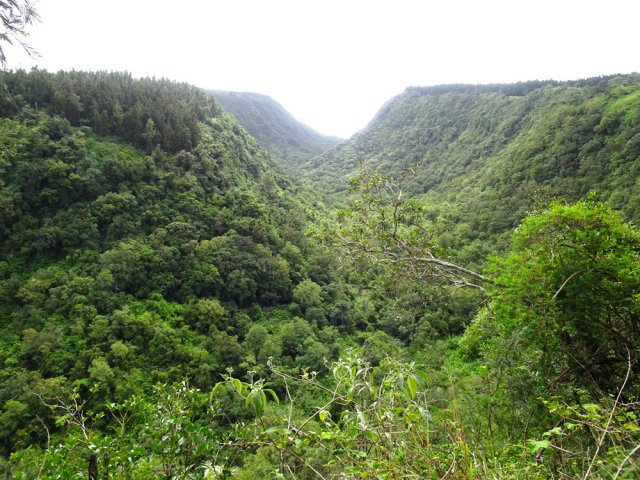La vallée du Bras Patates en direction du belvédère
