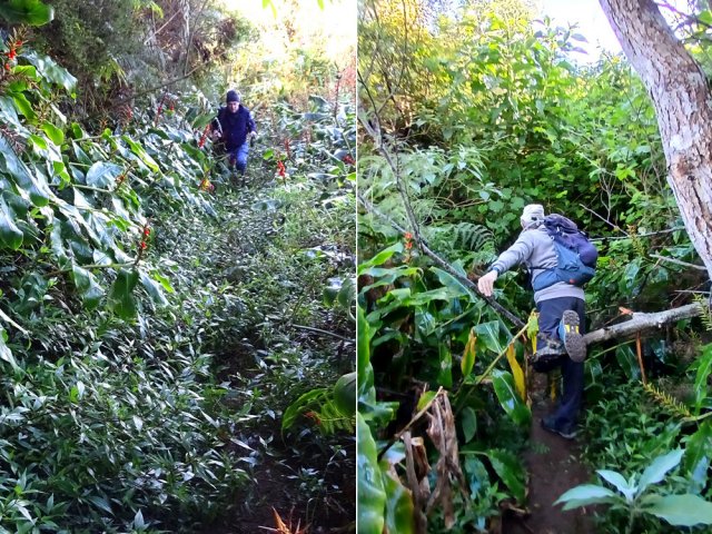 300 m avec beaucoup de végétation mais jamais la galère