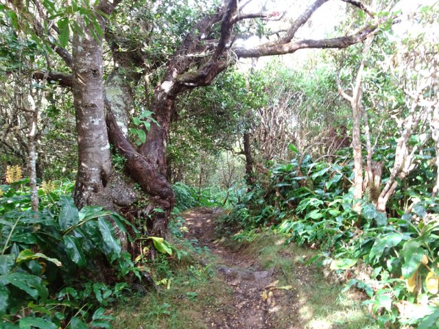 On frôle quelques beaux spécimens