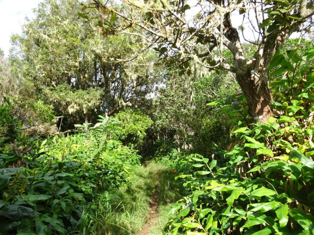 Les derniers mètres du sentier des Ouvriers