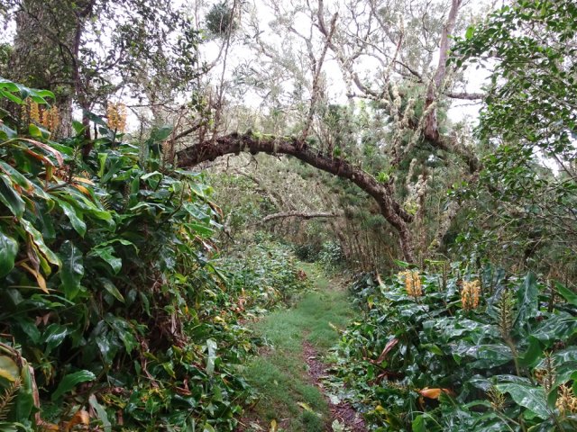 Comme partout dans cette région, il faudra s'habituer aux longoses