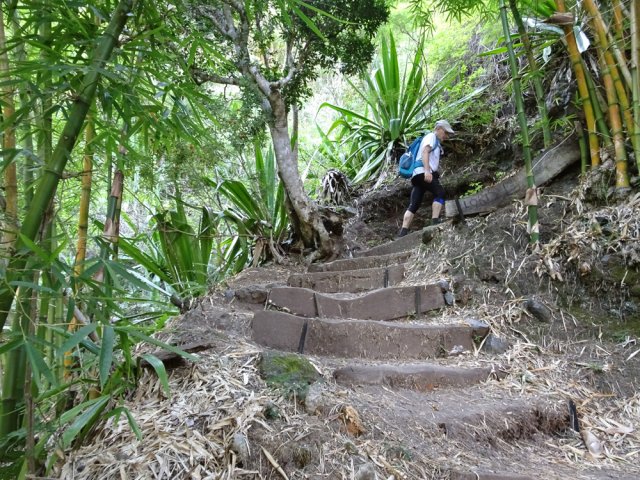Le terrain est soit sableux, soit soutenu de marches dans les bambous