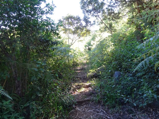 Le sentier du Panorama mériterait un passage de rotofil