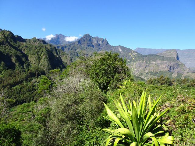 Le Gros Morne et le Morne de Fourche à l'horizon