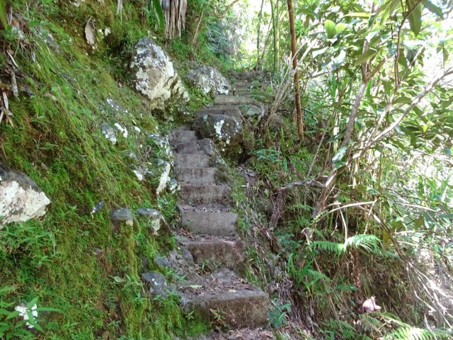 On quitte le torrent par de nombreuses marches bétonnées