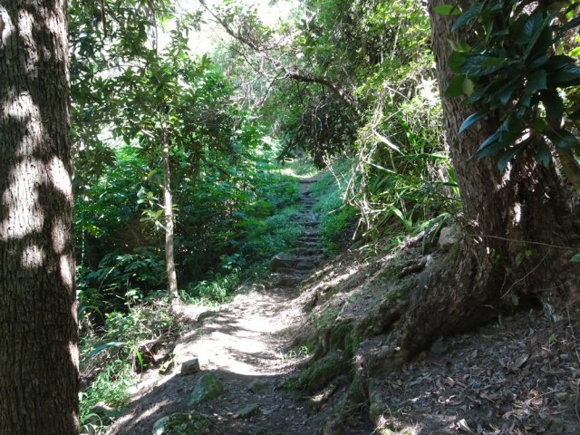 Le sentier vers Bord Bazar par l'Îlet Sud