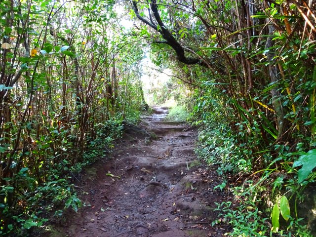 Une portion plus large mais humide et glissante