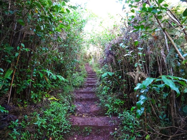 De nombreuses marches pour faciliter la montée