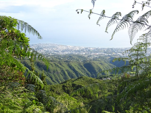 Point de vue sur le Ravine des Patates à Durand