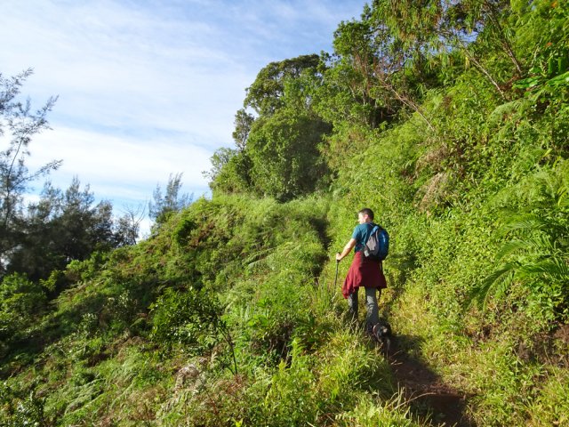 Traversée de l'ancienne zone incendiée