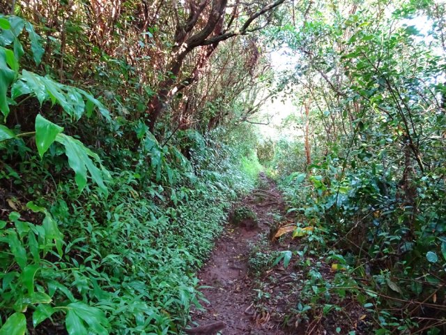 Poursuivre après la table d'orientation