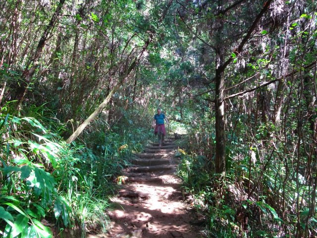 Sentier identique à celui de la montée