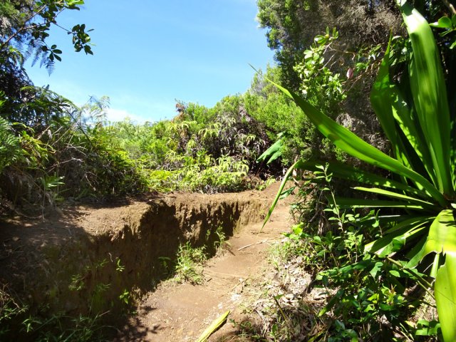 Une portion terreuse et glissante du sentier