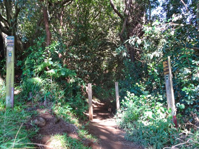 Les poteaux de l'ONF marquent la fin de la courte boucle.