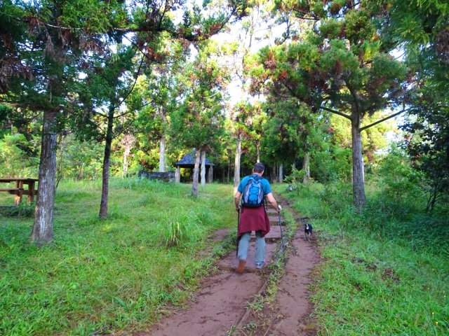 Le sentier de terre rouge traverse l'aire d'accueil