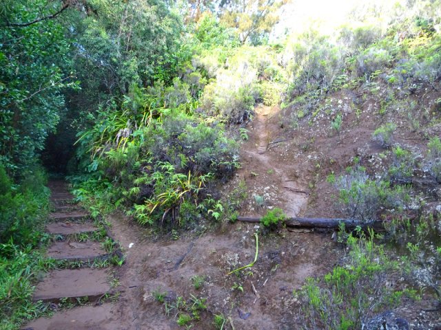 Il est possible de suivre ce sentier pour rallonger un peu la sortie