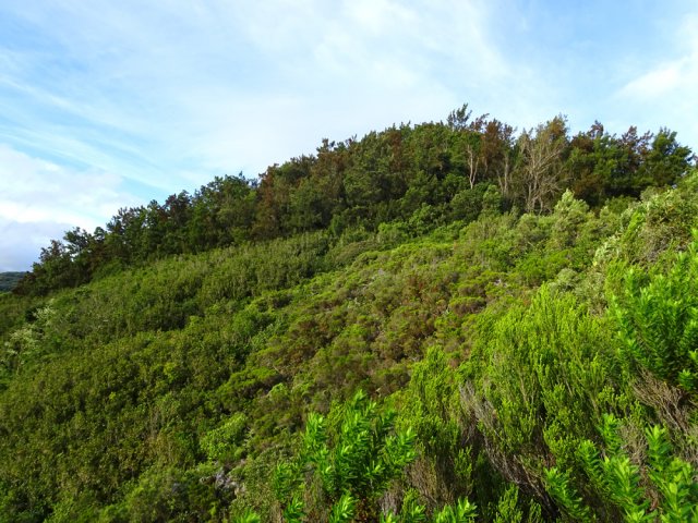 Une idée du paysage alentour