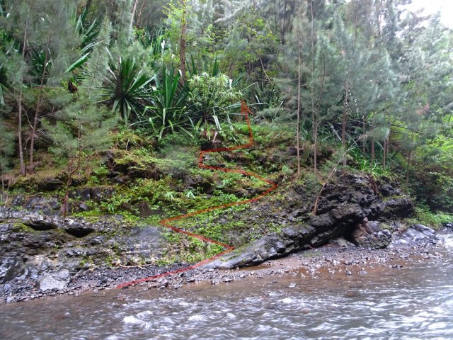 Le TRÈS discret départ du sentier vers l'Îlet Bémassoune