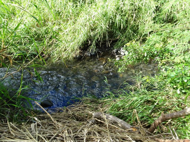 On longe au plus près un bras de la Rivière du Mât