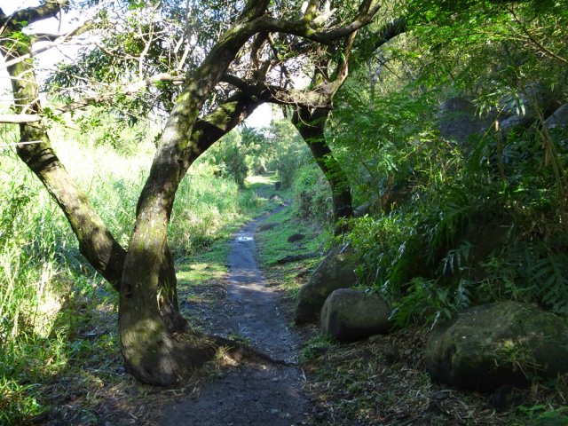 Le circuit à plat est une vraie balade