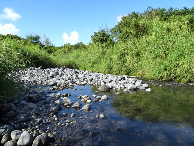 Plusieurs petits sentiers mènent à d'autres bras pour de possibles baignades