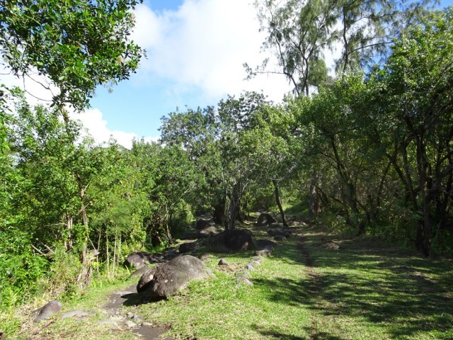 Les passages ont créé plusieurs sentiers par endroits