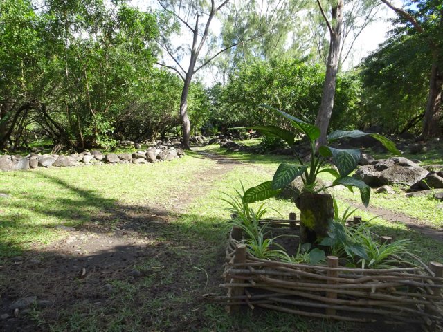 Quelques plantations annoncent le parking proche