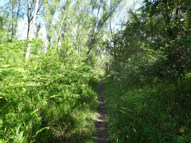 Là également, les passages nombreux entretiennent le sentier