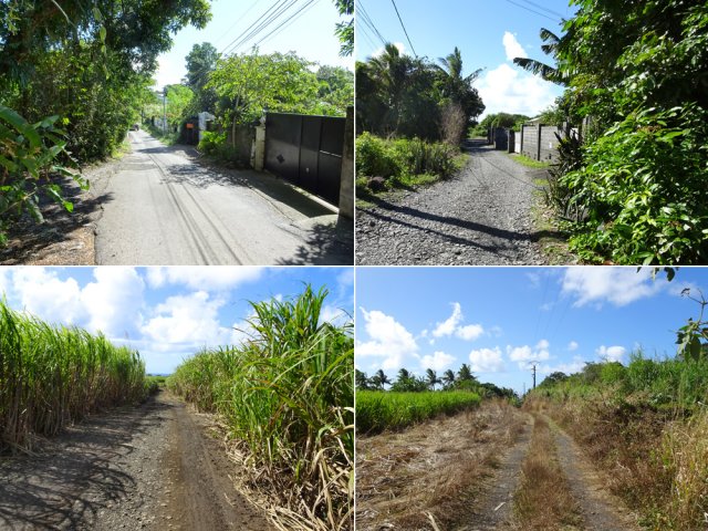 Le retour emprunte rues, pistes et chemins