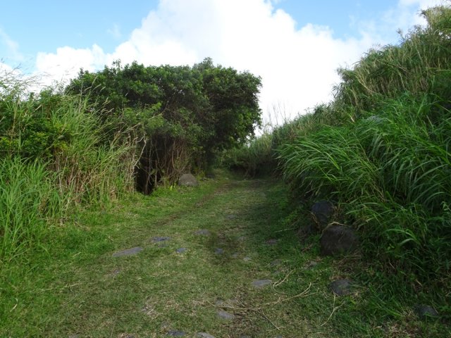 Le début du sentier des berges est une courte piste