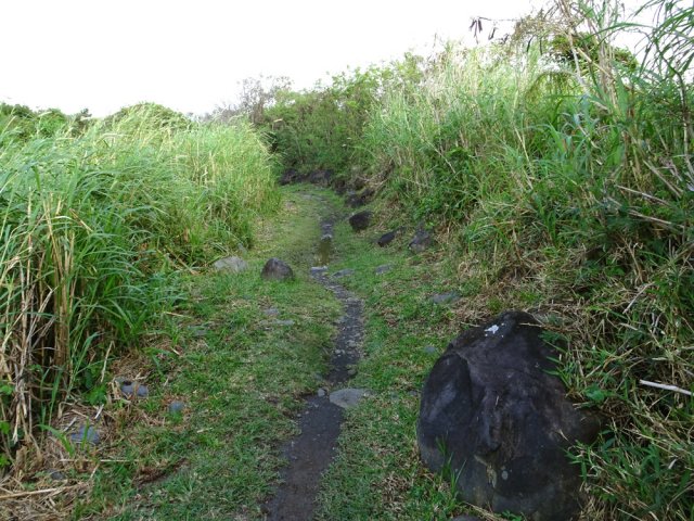 Elle se transforme très vite en sentier
