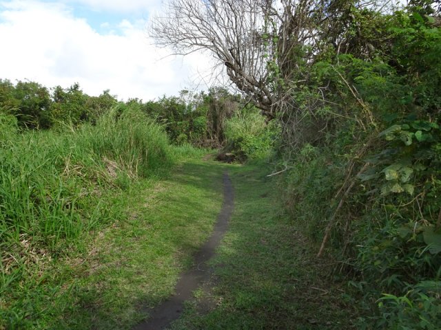 Le parcours, très fréquenté, est bien entretenu