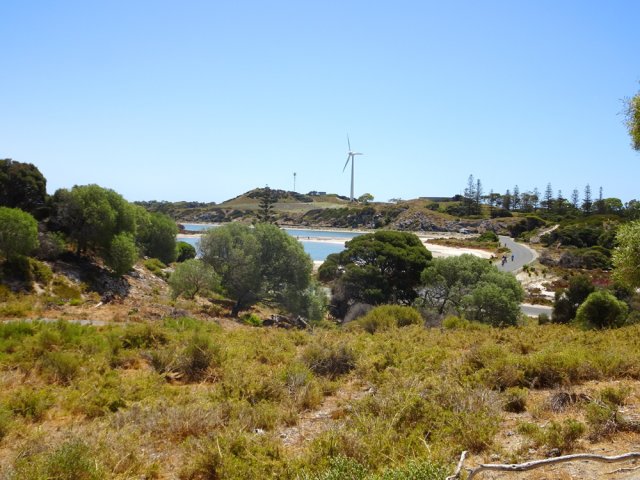 La végétation bordant la petite route