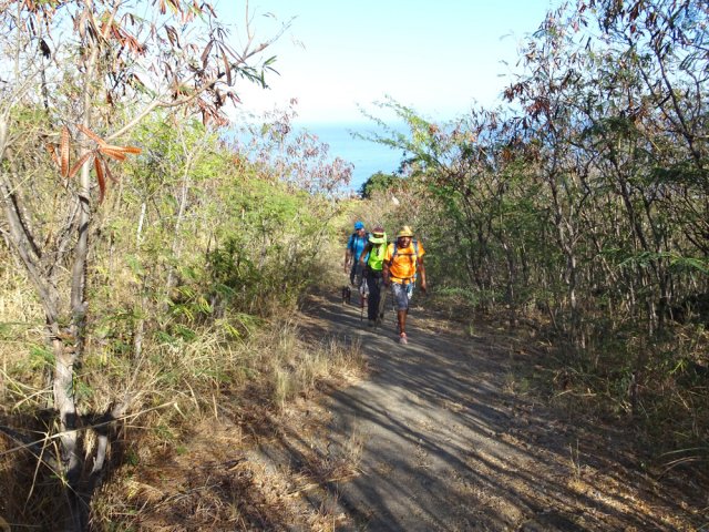 Le large sentier dans les zépinards et cassis longe une ancienne canalisation