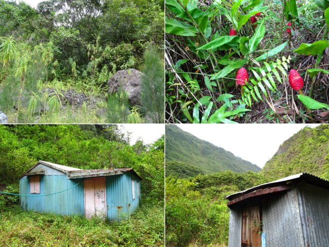 Détour facultatif vers l'îlet abandonné des "deux sœurs"