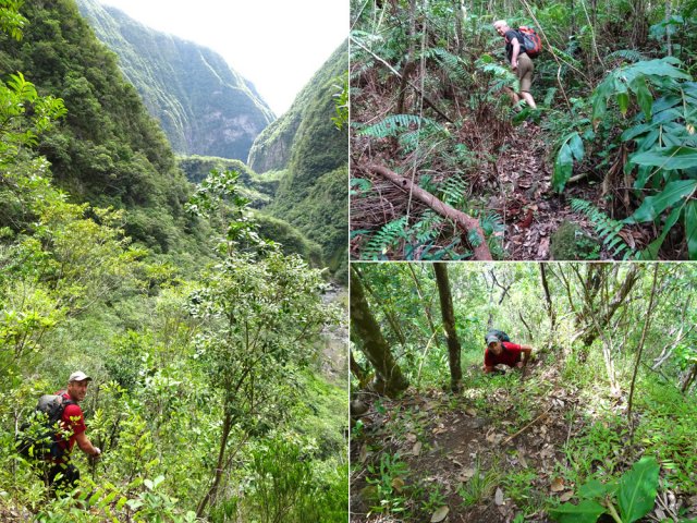 La montée débute avec de jolies vues sur la vallée en aval