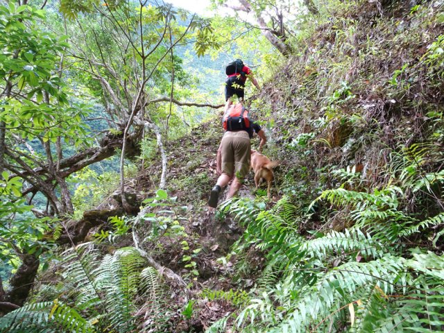Passage glissant en bordure de ravin. Marcher à quatre pattes