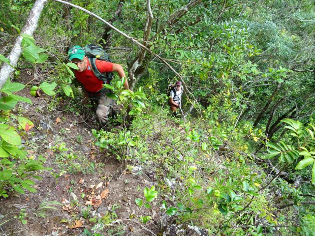 Des pentes à plus de 50°
