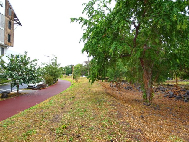 On peut marcher sur la digue ou sur la piste goudronnée