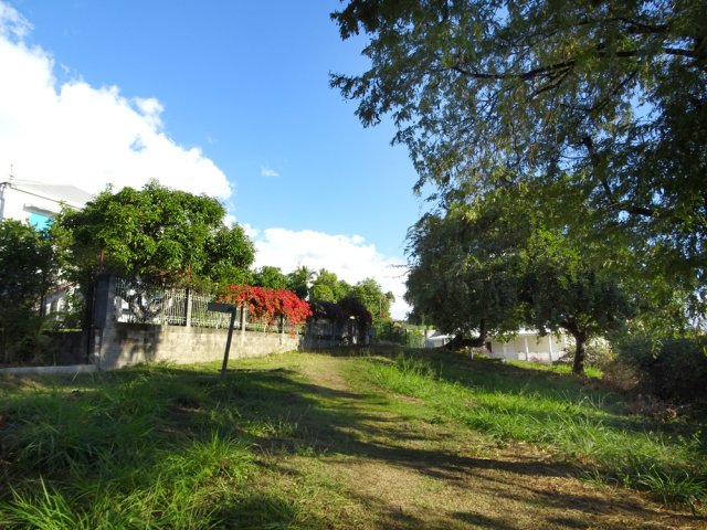 De belles clairières arborées entre les habitations