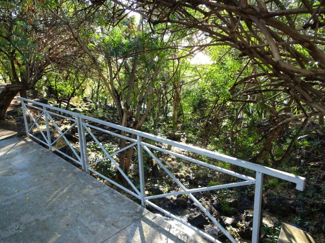 Un minuscule affluent de la Ravine Balthazar