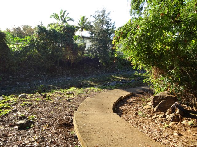 On retrouve le sentier de bord le long de la ravine