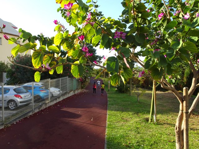 L'endroit est très fréquenté des marcheurs