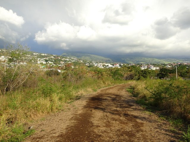 Le sentier se transforme en large piste